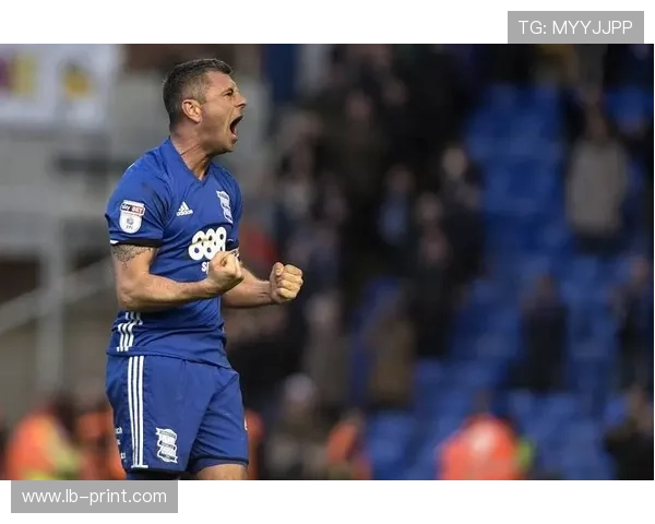 西布罗姆维奇主场再掀攻势球队状态回暖力争重返英超舞台 西布罗姆维奇主场再掀攻势球队状态回暖力争重返英超舞台